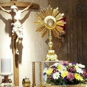 Meet your Posher, Nellie